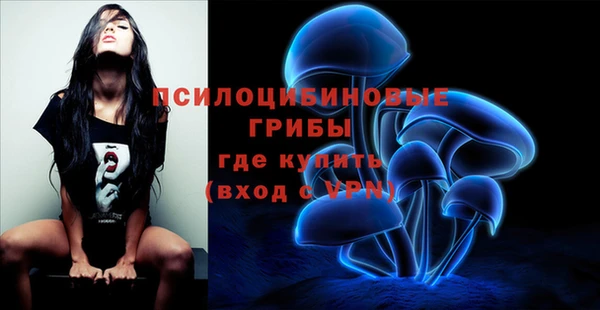 прущая мука Алзамай