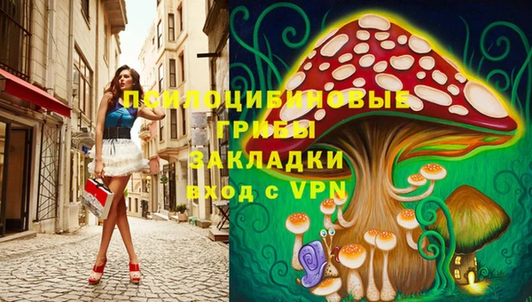 ешки Алексеевка