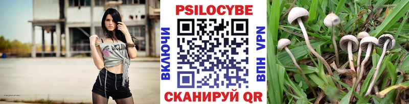 Галлюциногенные грибы мицелий  даркнет наркотические препараты  Десногорск 