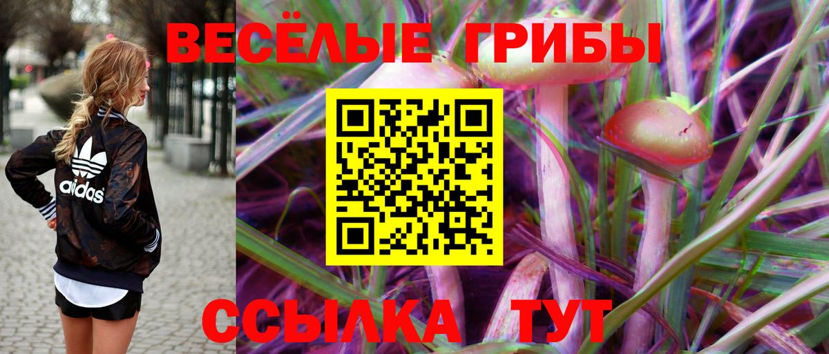 Галлюциногенные грибы Magic Shrooms  Вход с VPN  Десногорск 